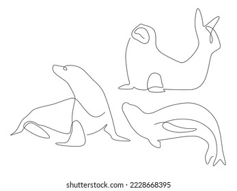 Vector modern minimalism of sea animal seal line art drawning illustration