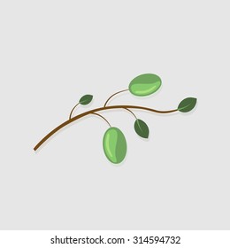 Vector modern  olive branch on gray background