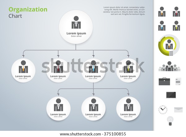 Organization Chart Template Vector