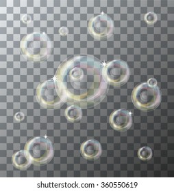 Vector modern soap bubbles on sample background