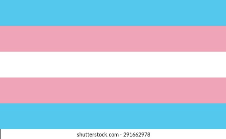 Vector modern transgender flag background. type of sexual minorities