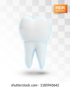 vector molar tooth. beauty and health. tooth cleaning and personal care