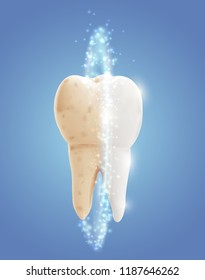 vector molar tooth. beauty and health. tooth cleaning and personal care