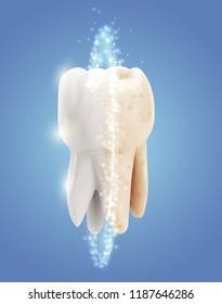 vector molar tooth. beauty and health. tooth cleaning and personal care