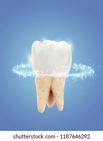 vector molar tooth. beauty and health. tooth cleaning and personal care