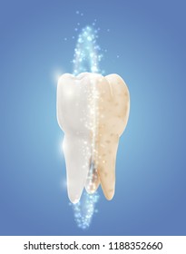 vector molar tooth. beauty and health. tooth cleaning and personal care