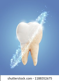 vector molar tooth. beauty and health. tooth cleaning and personal care