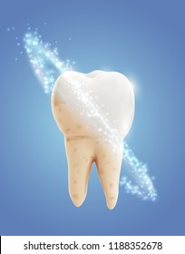 vector molar tooth. beauty and health. tooth cleaning and personal care