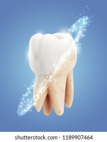 vector molar tooth. beauty and health. tooth cleaning and personal care