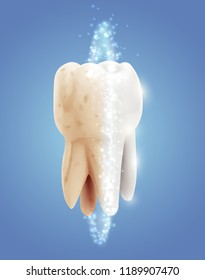 vector molar tooth. beauty and health. tooth cleaning and personal care