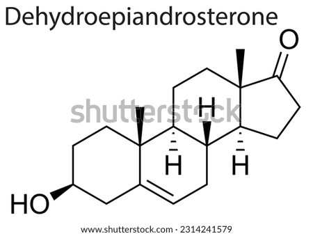 A vector of molecular structure of Dehydroepiandrosterone human steroid