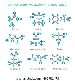 Vector molecular structures of amino acids isolated on white set