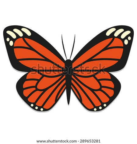 Vector Monarch Butterfly Illustration Isolated On White Background