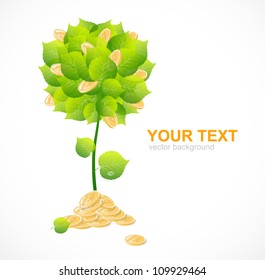 Vector money tree with coins