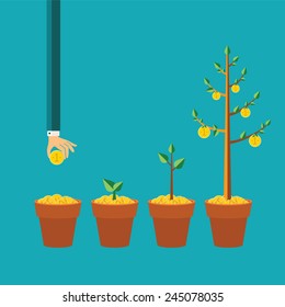 Vector money tree growth concept in flat style