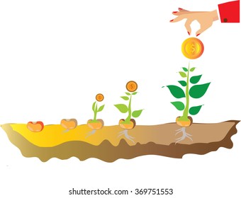 Vector money tree growth concept in flat style,  save money, stages of growth of plant and seed to tree