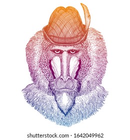 Vector monkey, baboon. Bavarian traditional hat. Tirol austrian hat. Beer Oktoberfest character portrait.