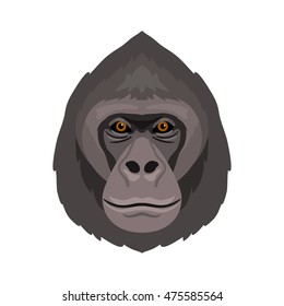 Vector monkey gorilla portrait 