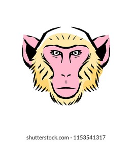 Vector Monkey Illustration Isolated On White Background