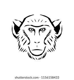 Vector Monkey Illustration Isolated On White Background