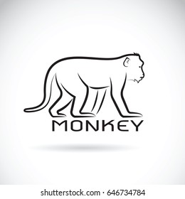 Vector of a monkey on white background. Wild Animal