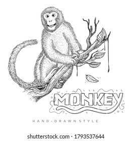 vector of a monkey sitting on a tree trunk. hand drawn animal illustration