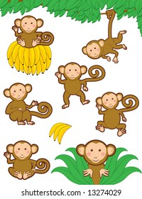 Vector Monkeys