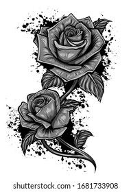 Vector monochromatic image of roses in retro style. Hand-drawn lineart. Vector.