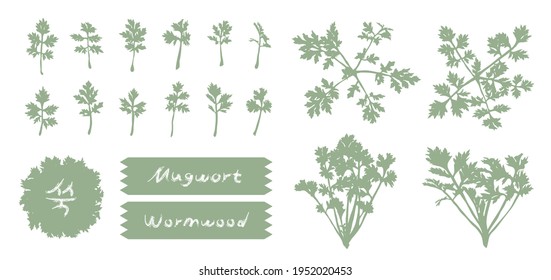 [Vector] monochromatic realistic mugwort outlines and handwriting 'wormwood'