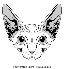 cabeza de gato de esfirol monocromático vectorial y contorno negro con fondo blanco