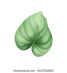 Vector monochromatic tropical leaves on white.