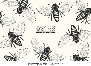 Vector monochrome background with pattern from black and white honey bees  isolated on white background. Insect design for print, fabric, card, wallpaper, packaging