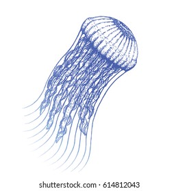 vector monochrome blue ink hand drawn jellyfish blackwork illustration
