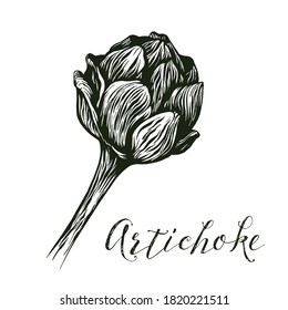 Vector monochrome botany clipart on white background. Artichoke. Floral illustration in vintage style. Flowers for your design, wedding invitation.