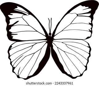 Vector monochrome butterfly Beautiful insect with big black wings. Drawing of a flying beetle.Suitable for sandblasting, laser and plotter cutting.
