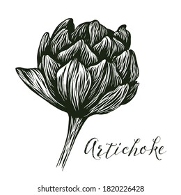 Vector monochrome clipart. Artichoke. Object for design