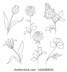 vector monochrome collection of different flowers drawn in one line style.