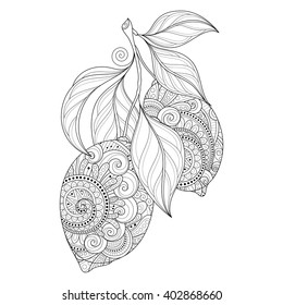 Vector Monochrome Contour Branch with Ornate Lemons and Decorative Leaves. Hand Drawn Decorative Citrus