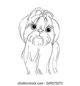 vector monochrome contour illustration of shih-tzu dog