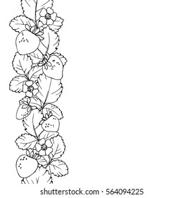 vector monochrome contour illustration of strawberry berries pattern