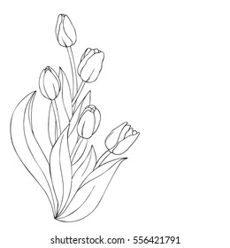 vector monochrome contour illustration of tulip  flower bouquet vertical