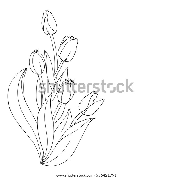 チューリップ花束のベクター画像モノクロームの輪郭イラスト 縦 の