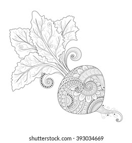 Vector Monochrome Decorative Beet with Top. Hand Drawn Ornate Vegetable with Beautiful Pattern