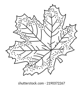 Vector monochrome doodle illustration of maple leaf.