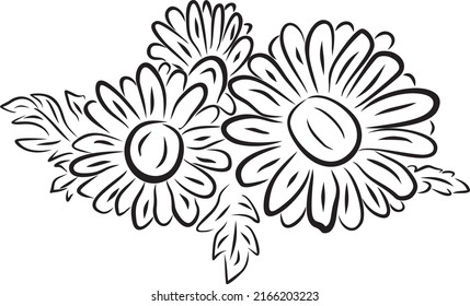 Vector monochrome drawing of daisies. Bouquet of wild flowers. Plants drawn with strokes.
