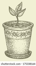 Vector monochrome drawing hatching. Sprout in a pot