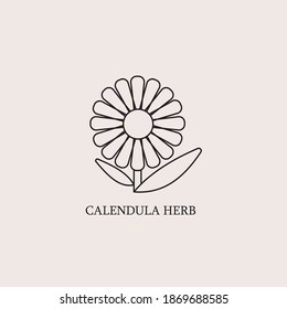 Vector monochrome emblems - healthy herbs for print or package design. Medicinal, cosmetic plant- calendula flower with leaves and petals. Logo or icon in trendy simple linear style.