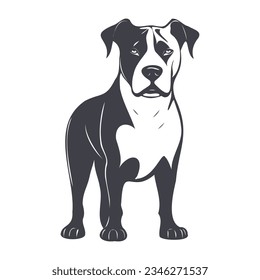 Vector monochrome graphic doggy. Standing on four paws pit bull dog. Serious house dog. White isolated background.