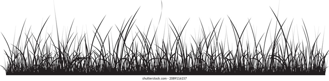 Vector Monochrome Grass. Curb From The Shadows Of The Floods. Field Silhouette
