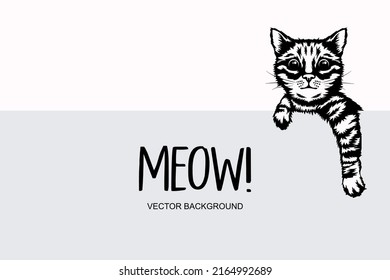 Vector Monochrome Hand Drawm Black, White Hiding Peeking Kitten. Kitten Head with Paws Up Peeking Over Blank White Placard, Poster, Card, Banner. Pet Kitten Curiously Peeking Behind White Background